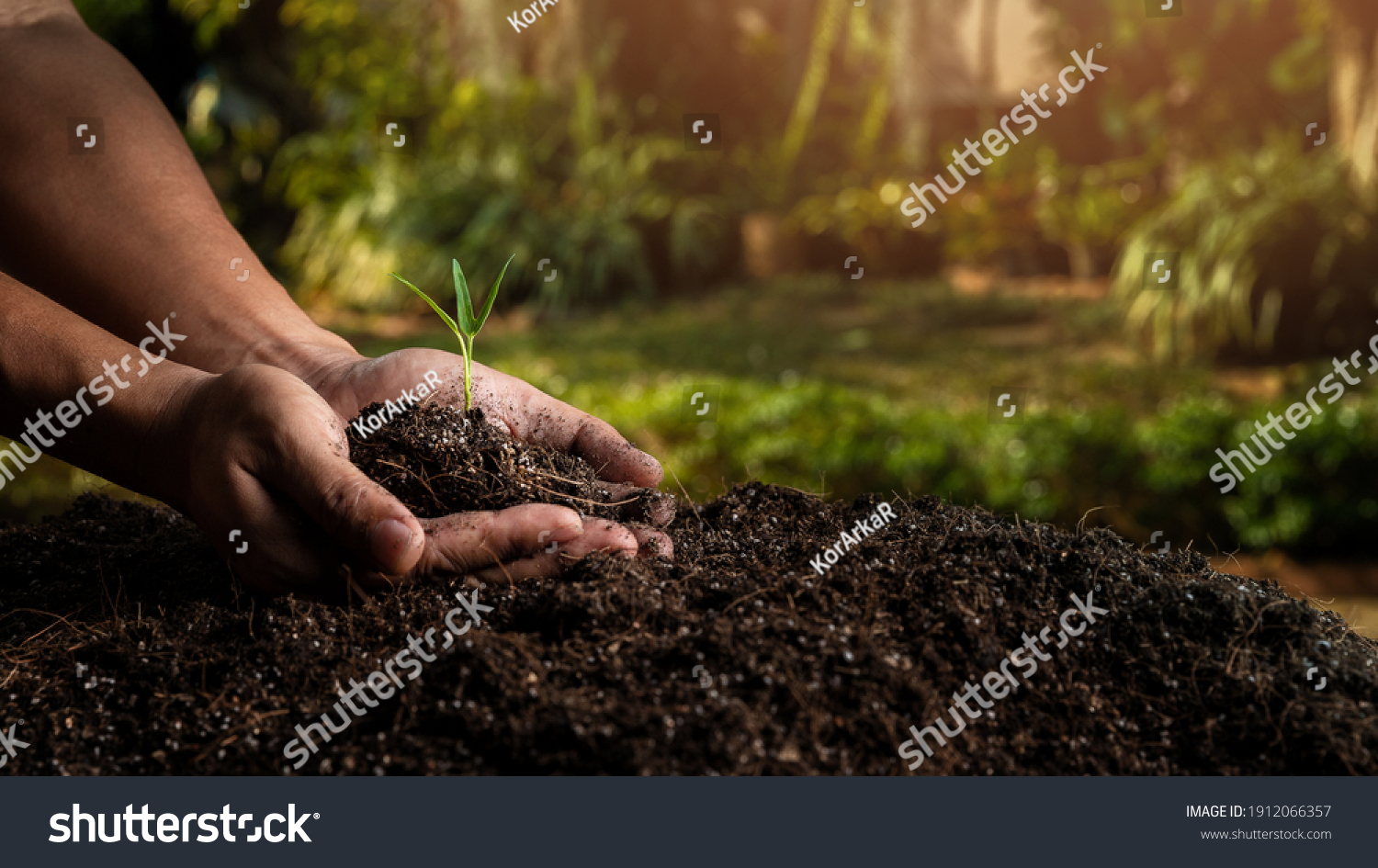 closeup hand of person holding abundance soil with young plant. Concept green world earth day #1912066357