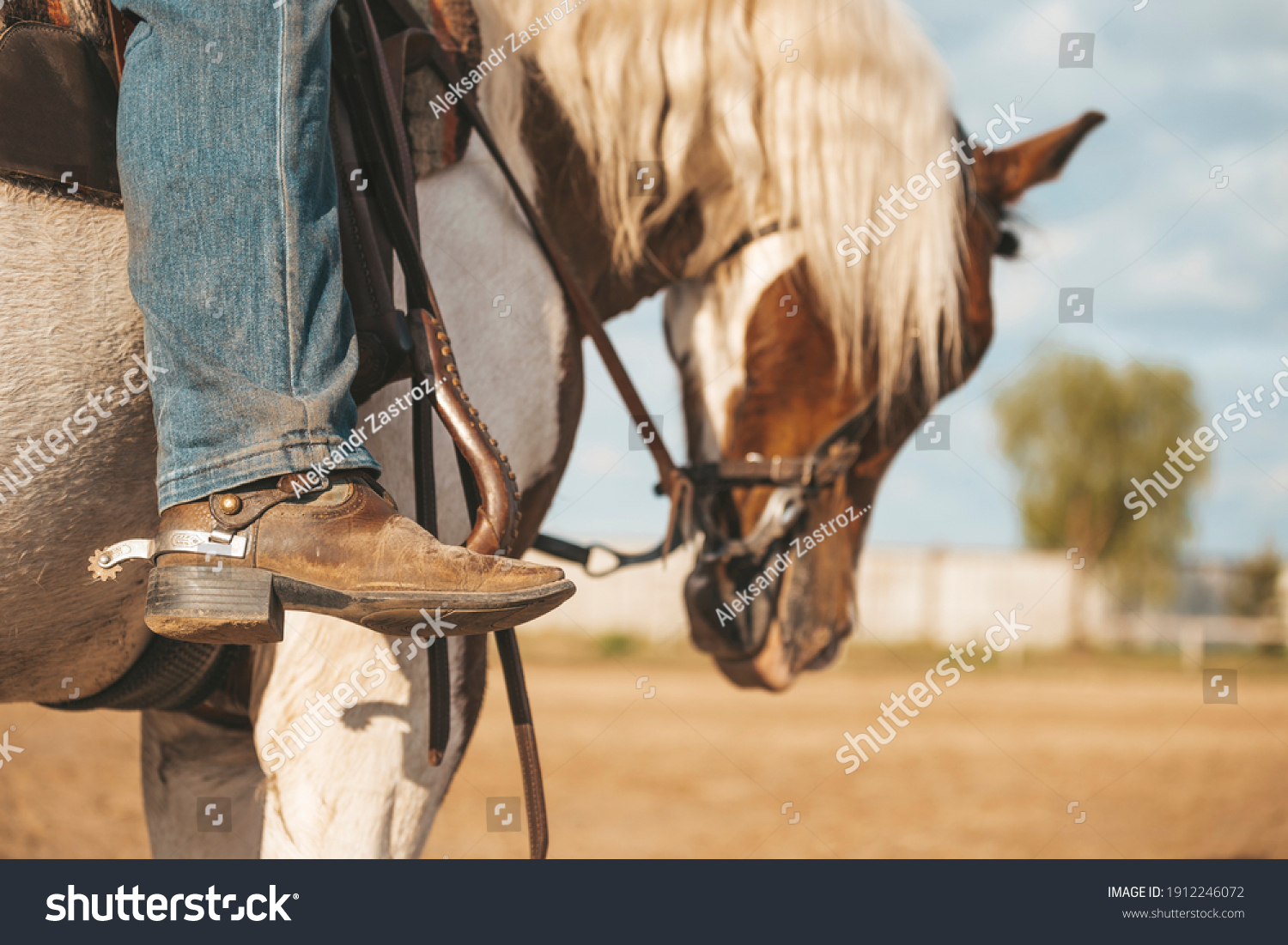 Cowboy boot with a spur. Ranch horse. Pinto western horse with a rider. #1912246072