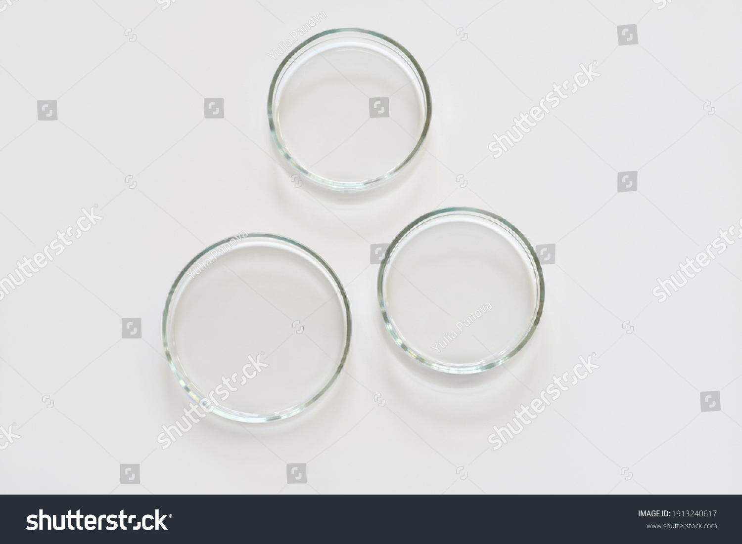three empty glass Petri dishes on a laboratory table. sterile lab dishes ready for tests. analysis and chemical experiment. cell culture growing equipment. top view. #1913240617