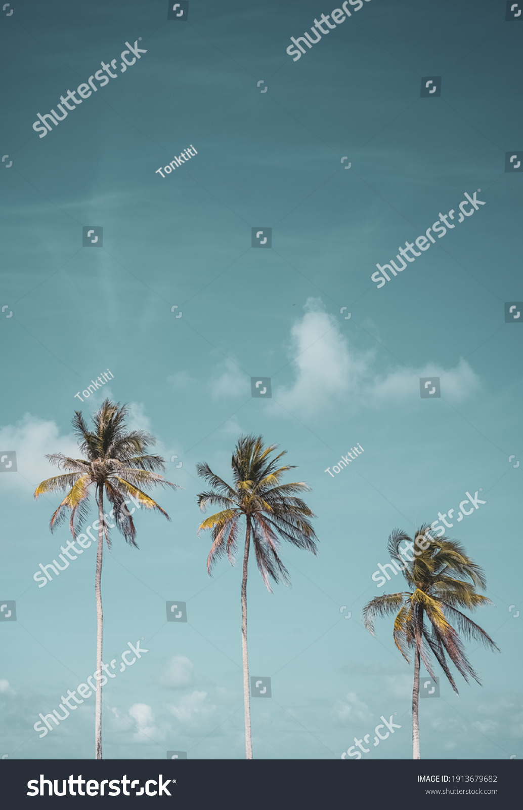 Tropical palm tree with blue sky and cloud abstract background. Summer vacation and nature travel adventure concept. Pastel tone filter effect color style. #1913679682