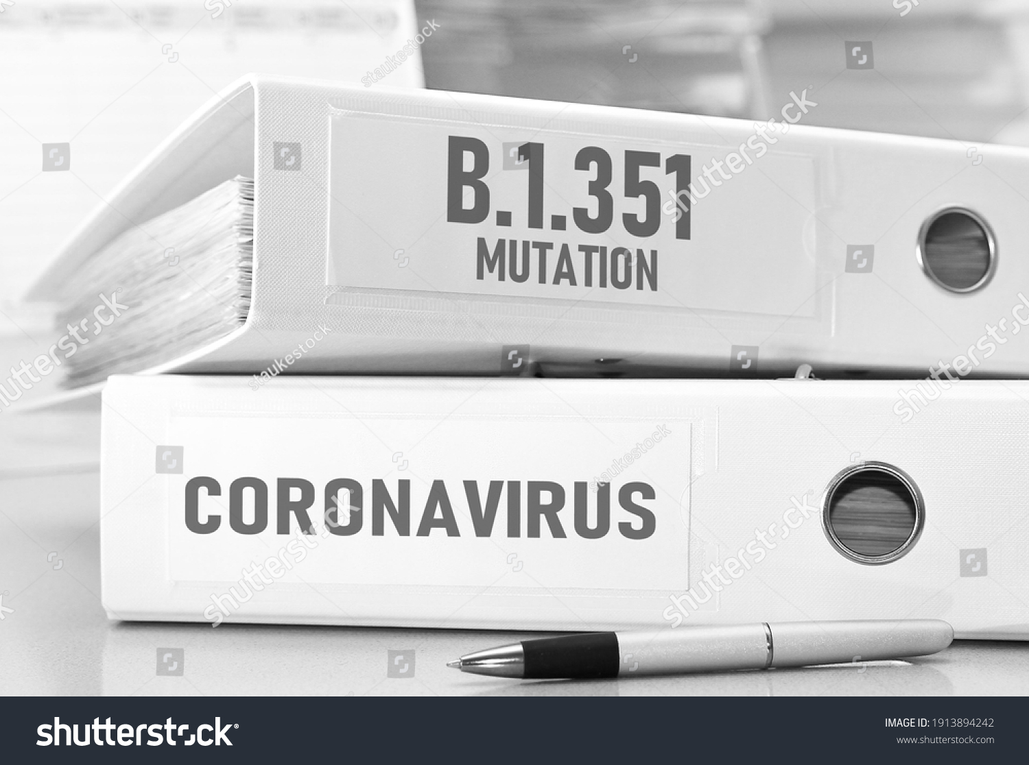 Corona virus mutation B.1.351 - South african variant in folders #1913894242