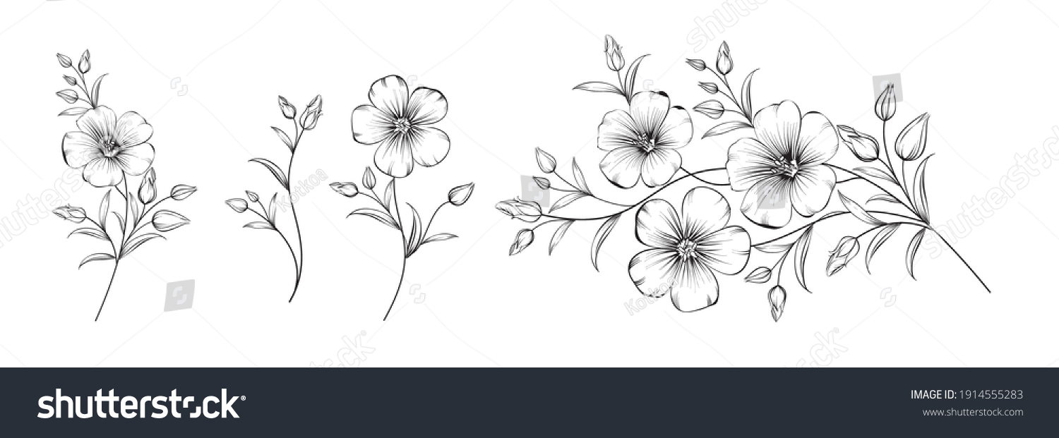 Set of differents flower linen on white background #1914555283