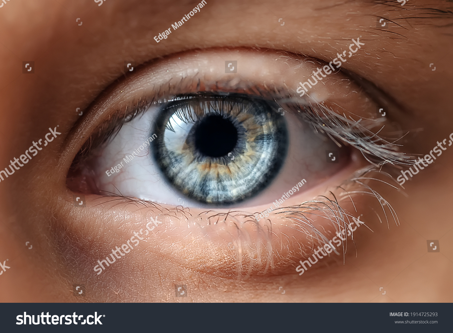 Blue Macro eye close up #1914725293
