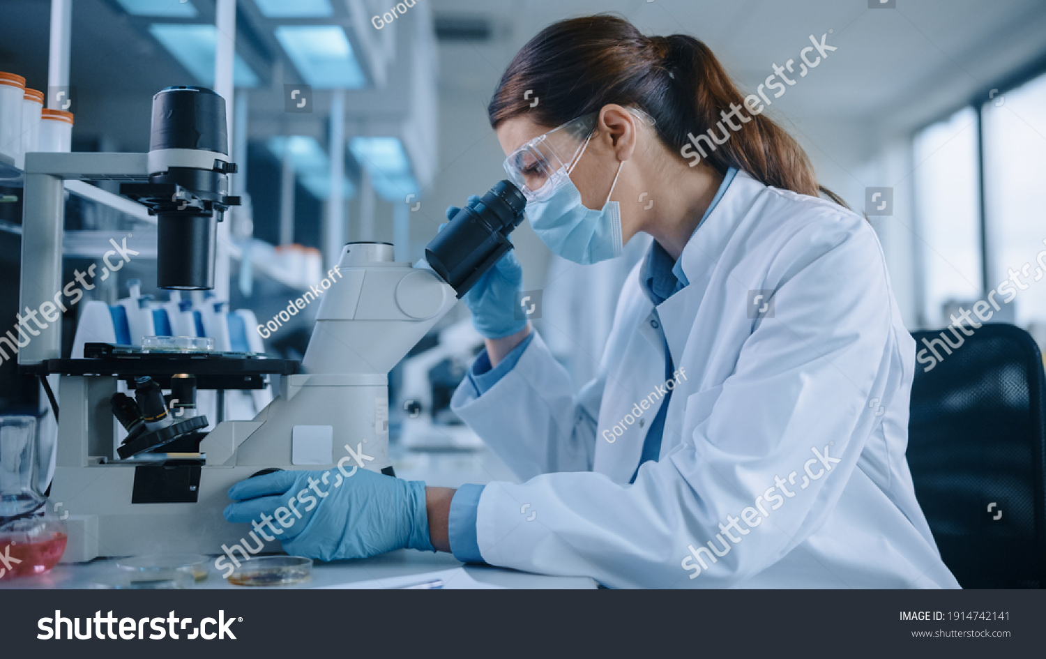 Female Scientist in Face Mask and Glasses Looking a Petri Dish with Genetically Modified Sample Chemicals Under a Microscope. Microbiologist Working in Modern Laboratory with Technological Equipment. #1914742141