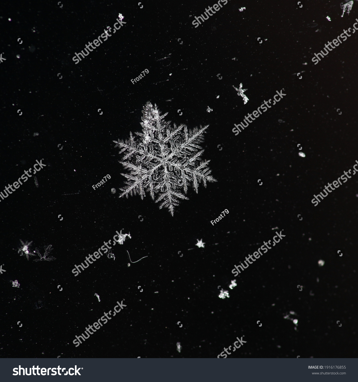 Winter snowflakes magnified. Snowflakes on a dark background. #1916176855