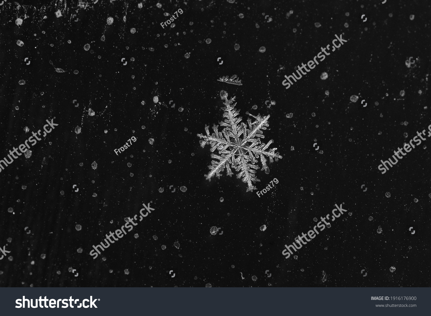 Winter snowflakes magnified. Snowflakes on a dark background. #1916176900