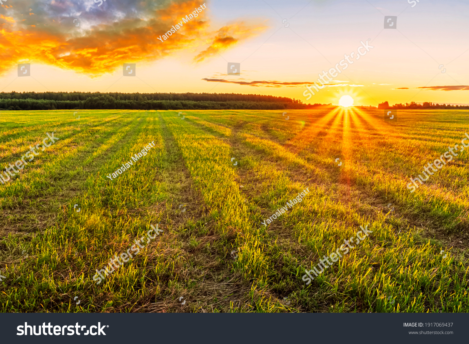 Scenic view at beautiful spring sunset in a green shiny field with green grass and golden sun rays, deep blue cloudy sky on a background , forest and country road, summer valley landscape #1917069437