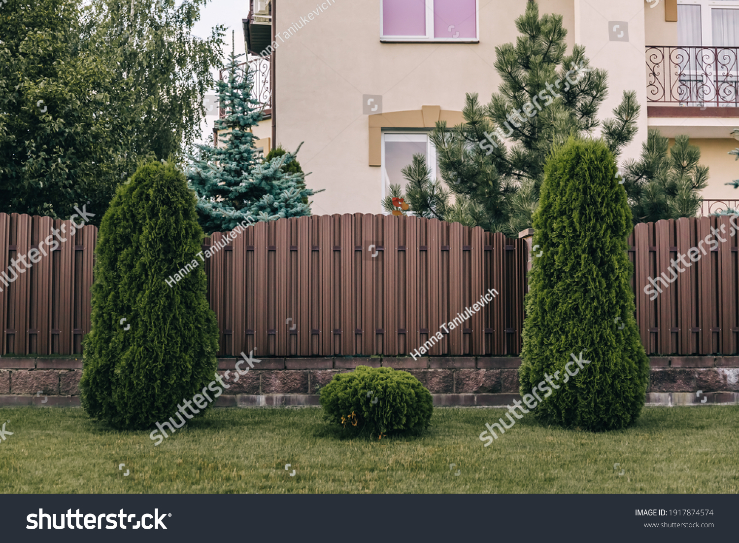 Vertical sections of brown metal profile fence. Live plantings. Green thuja, bushes and lawn. The local area decor. A house and a garden. Landscaping of the territory. Capital fencing. Vacation home. #1917874574