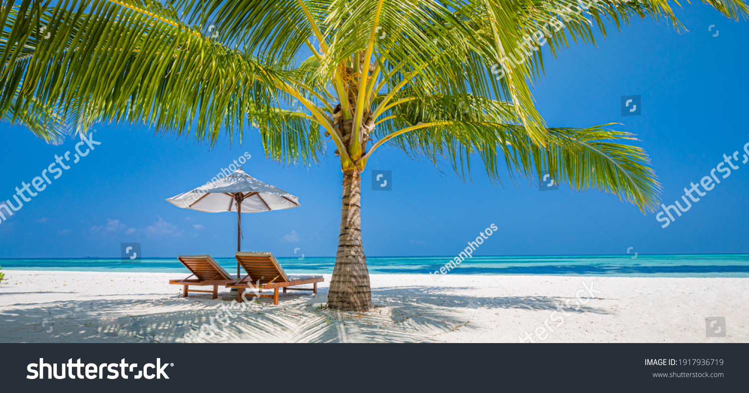 Beautiful tropical beach banner. White sand coco palms travel tourism wide panorama. Summer sea horizon, idyllic island nature scene. Amazing beach landscape. Luxury island resort vacation or holiday #1917936719