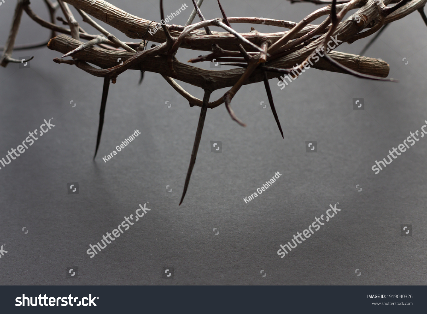 Edge of crown of thorns with copy space on black background #1919040326