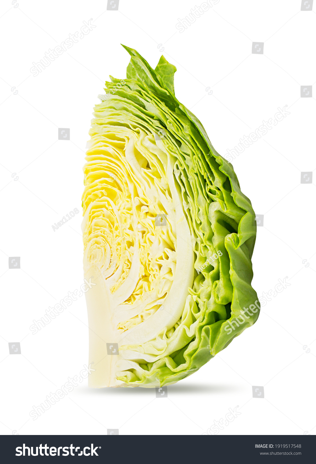Cabbage isolated on white background with clipping path #1919517548