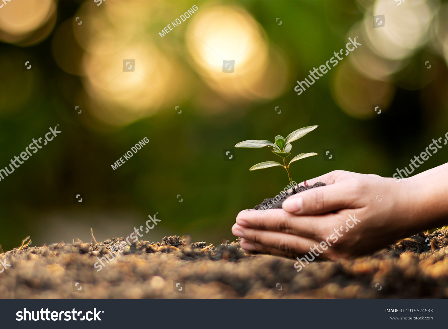 Human hands planting seedlings or trees in the soil Earth Day and global warming campaign. #1919624633