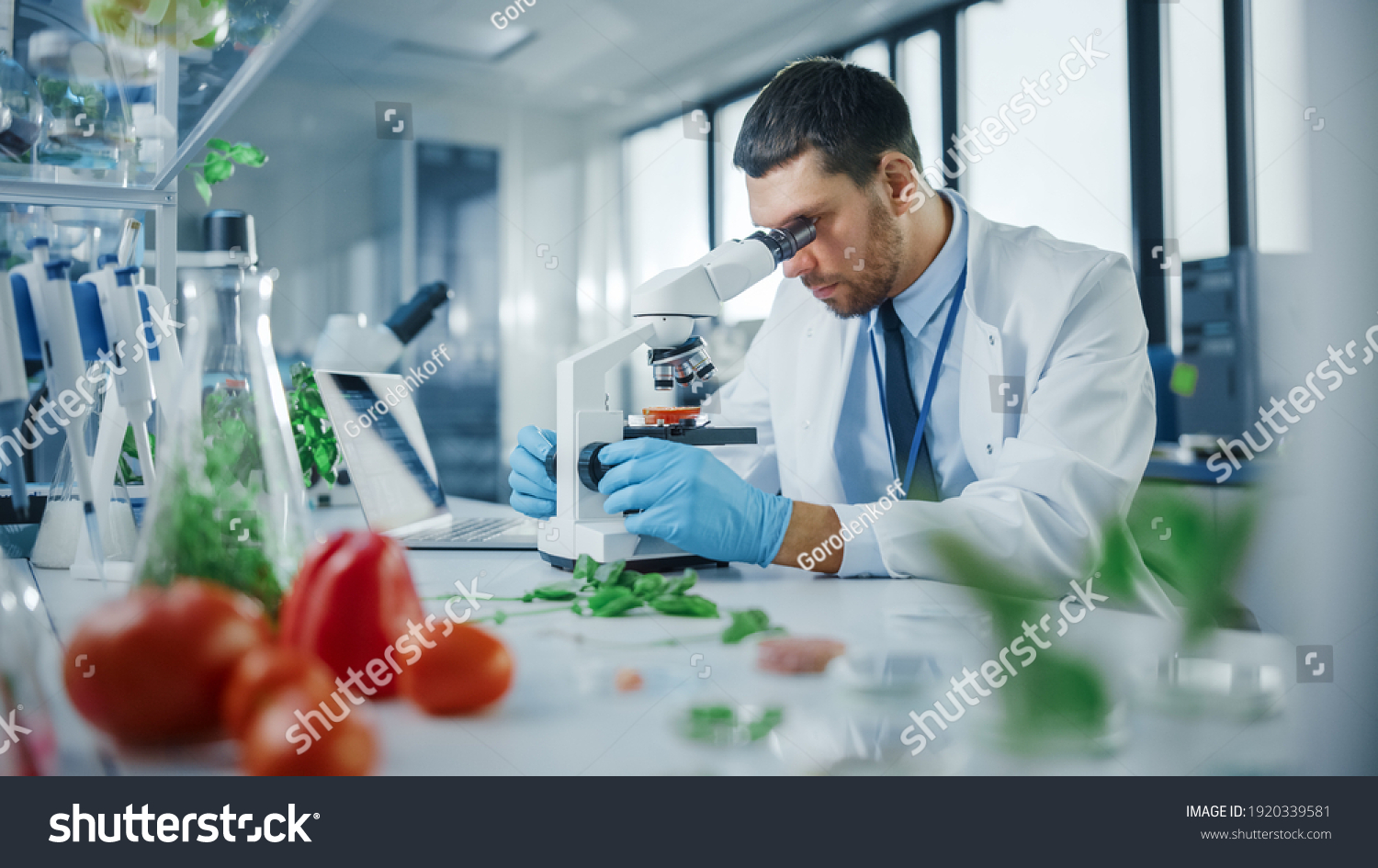 Handsome Male Scientist in Safety Glasses Analyzing a Lab-Grown Tomato Through an Advanced Microscope. Microbiologist Working on Molecule Samples in Modern Laboratory with Technological Equipment. #1920339581