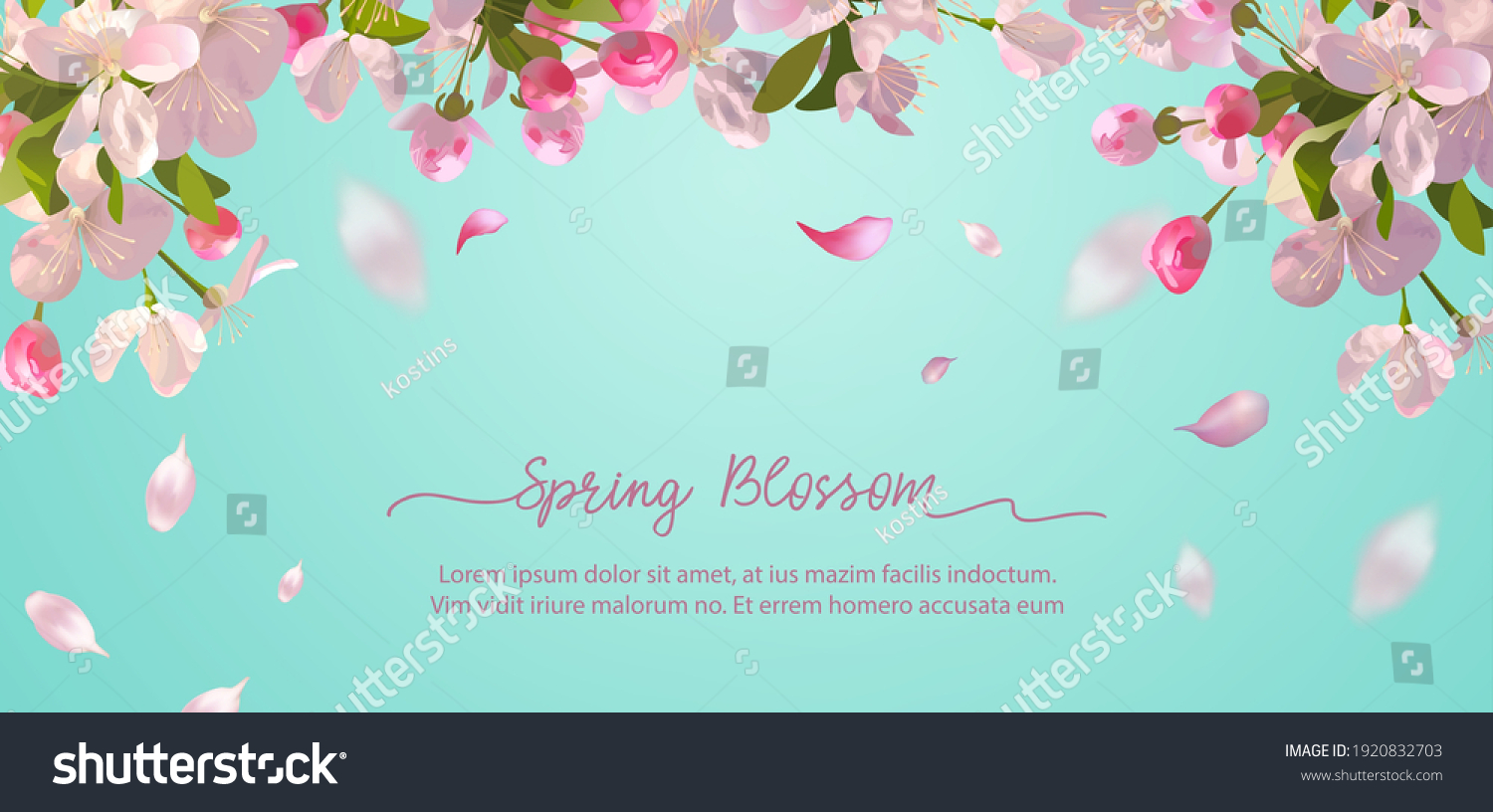Sakura flowers and flying petals on spring background #1920832703