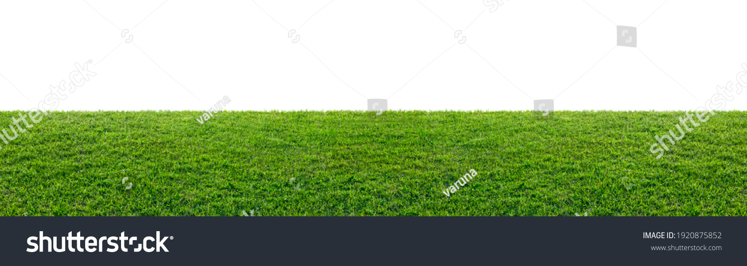 green grass field isolated on white background #1920875852