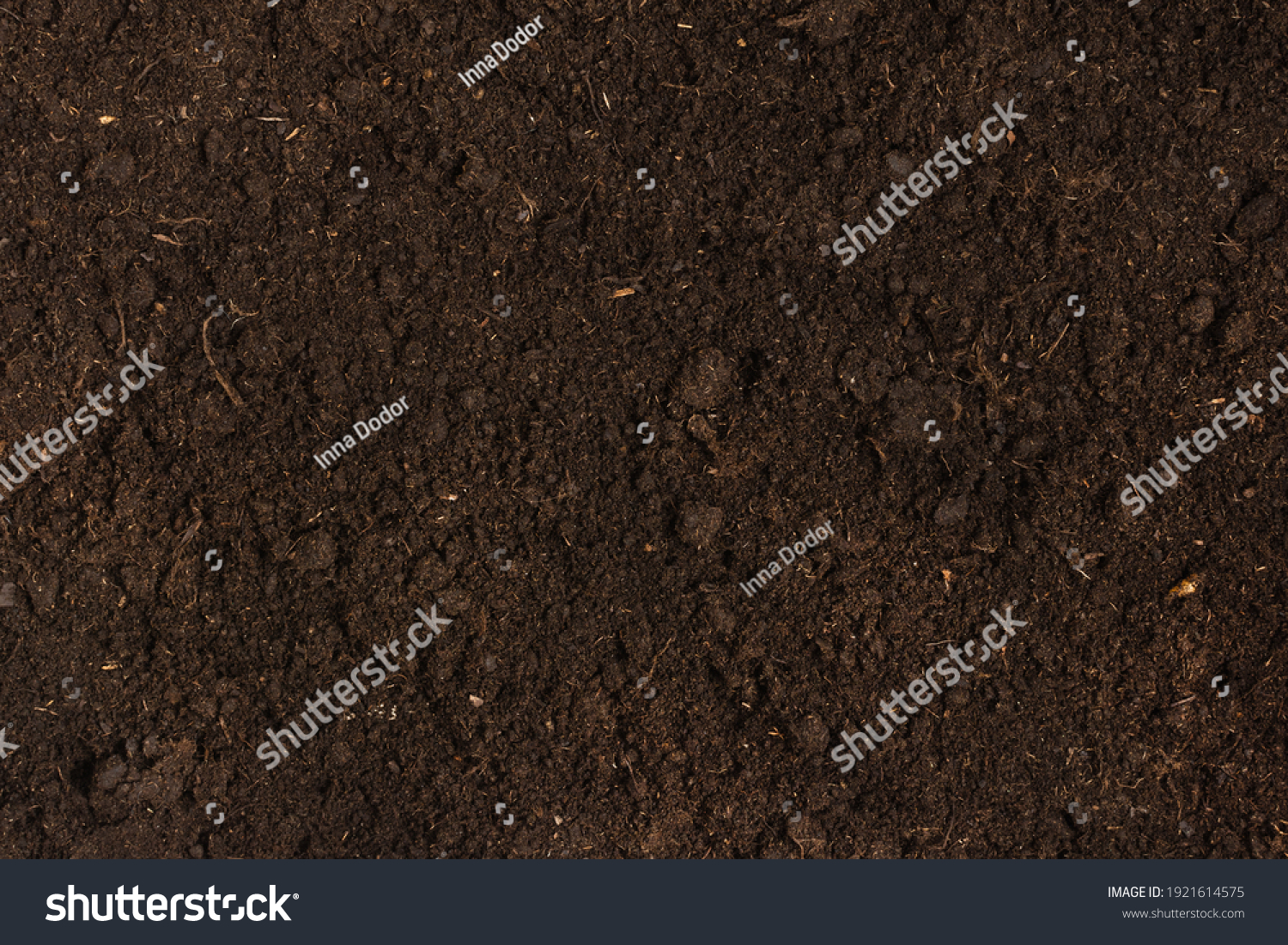 Texture of fertile soil top view. Spring gardening season concept. #1921614575