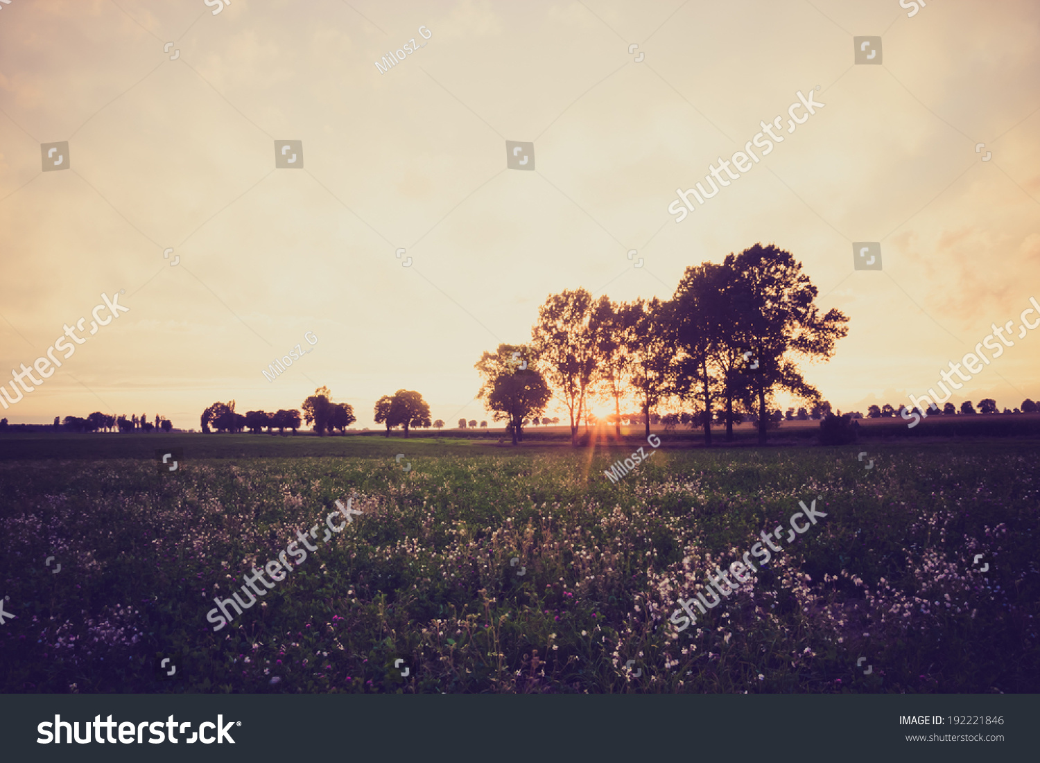 vintage photo of sunset on field. rural landscape #192221846