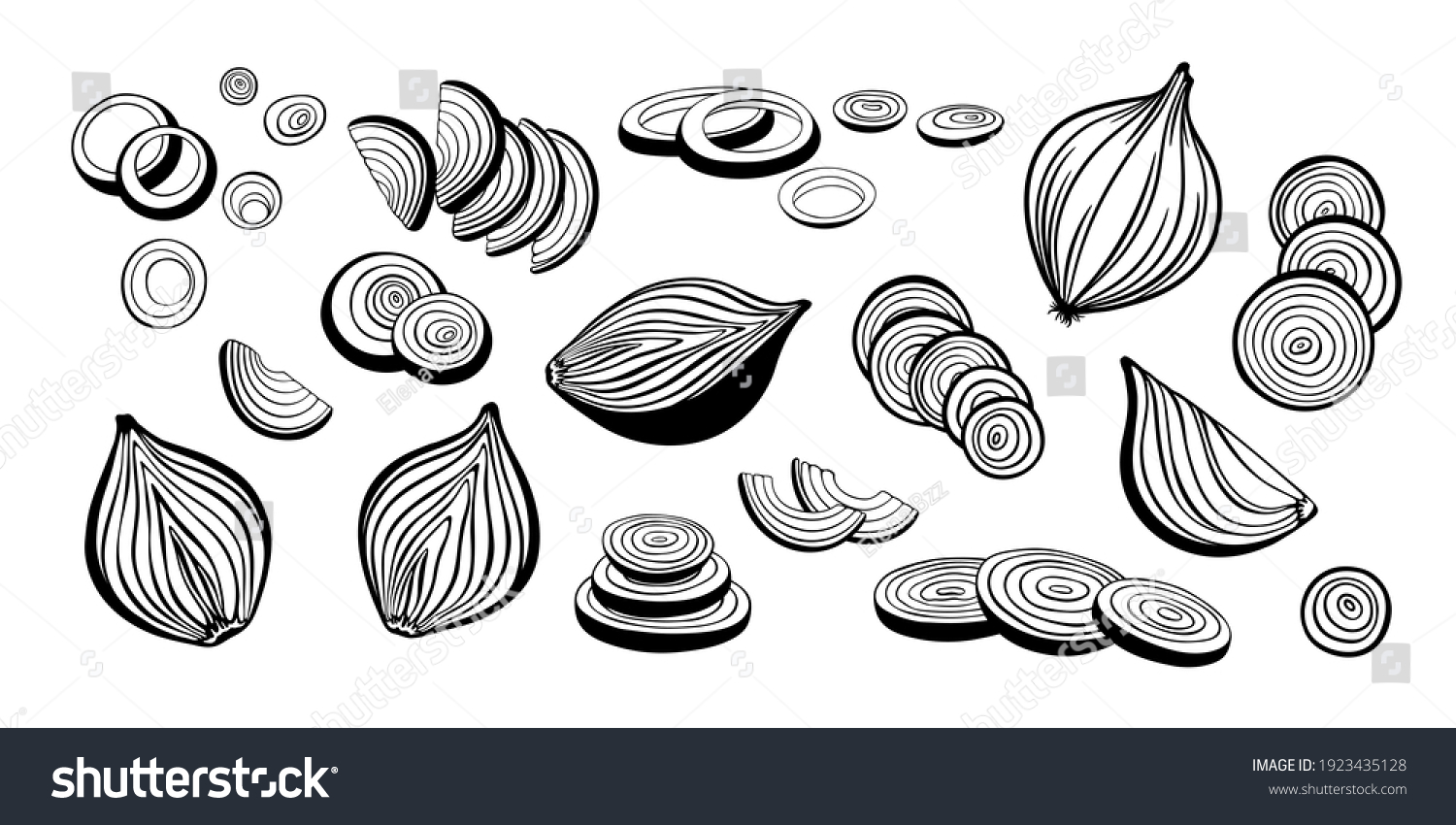 Big vector set of onion collection. Onion slices, rings and cut in half onion bulb. Sketch and monochrome outline drawing. #1923435128