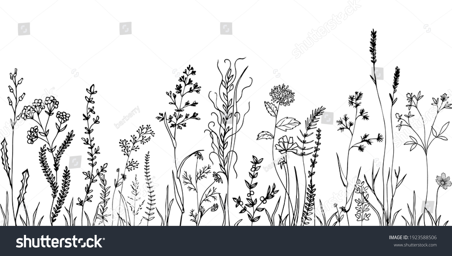 Sketch weeds, herbal, flowers and cereals. Trend elements design. #1923588506