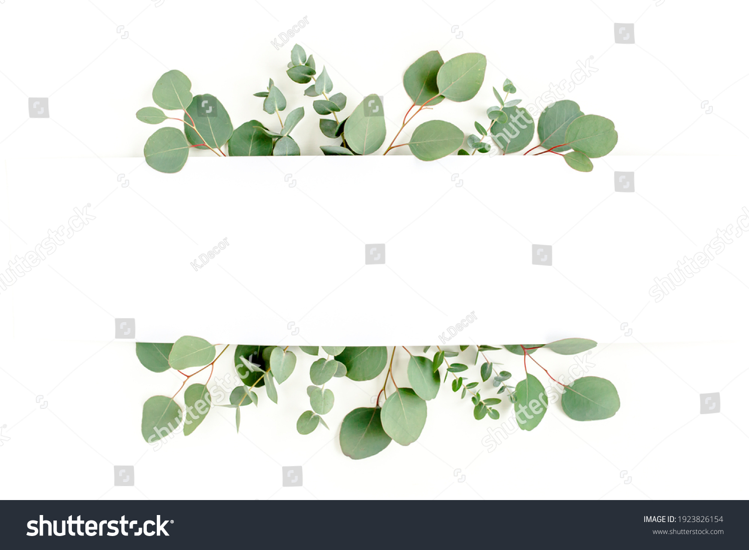 Frame made of branches eucalyptus and leaves isolated on white background. Flat lay, top view #1923826154