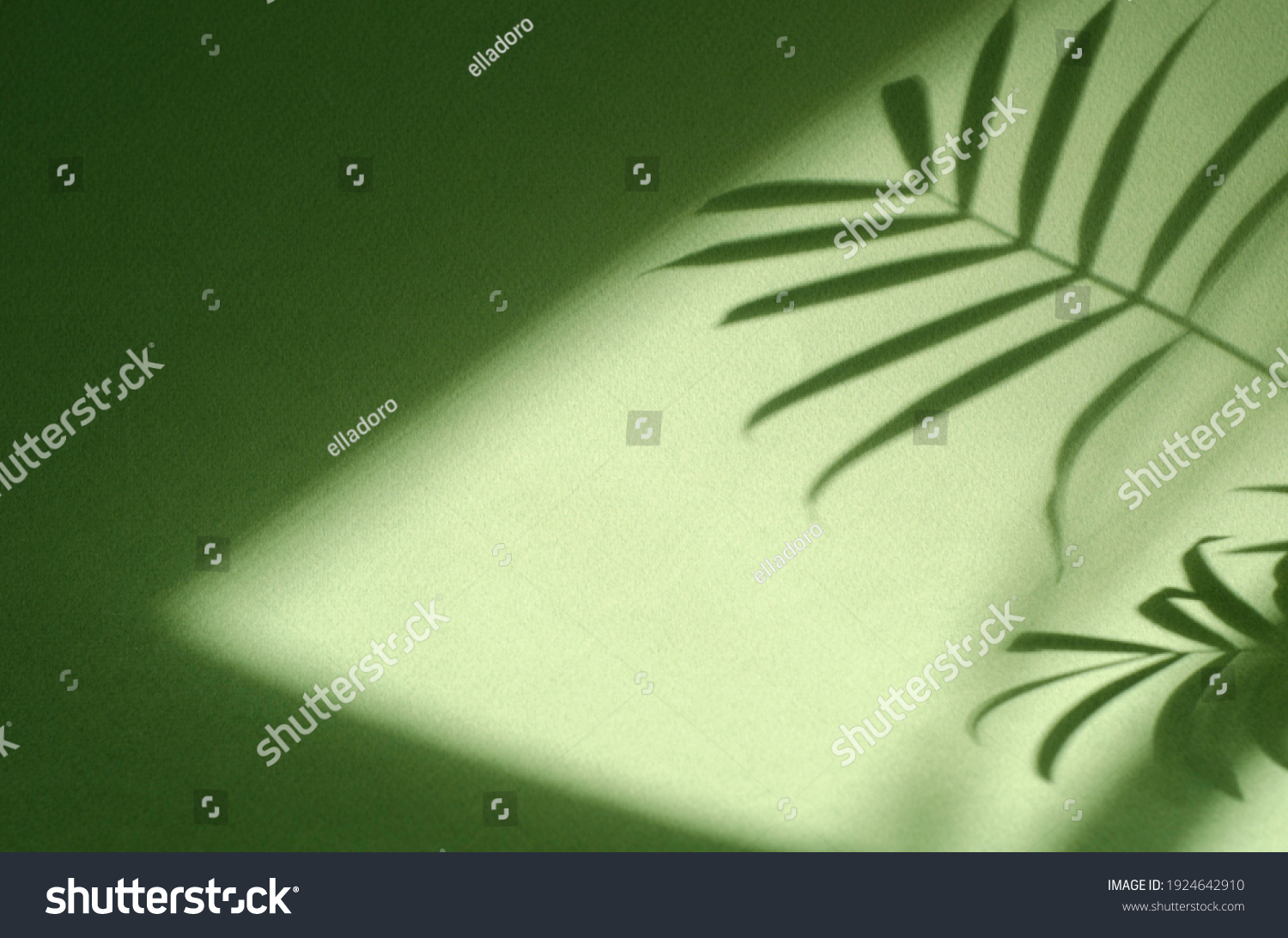 Green background with shadow of palm leaves. Ecology, nature, purity and authenticity concept. Texture template for design, mock up, wallpaper, poster, banner, announcement, invitation, greeting card. #1924642910