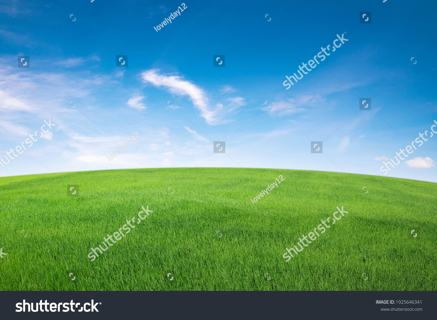 green grass field with blue sky ad white cloud. nature landscape background #1925646341