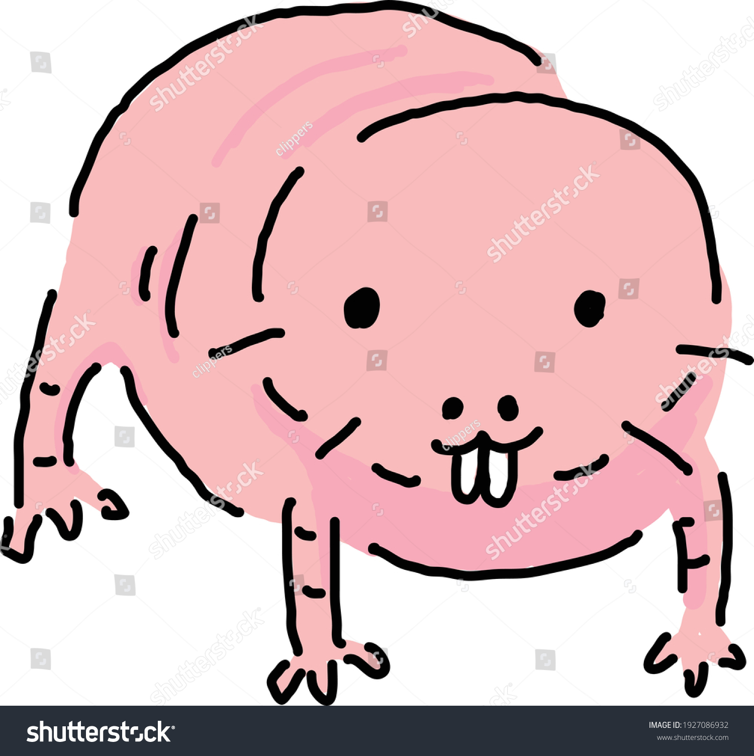 Naked mole rat illustration rough cute kawaii - Royalty Free Stock