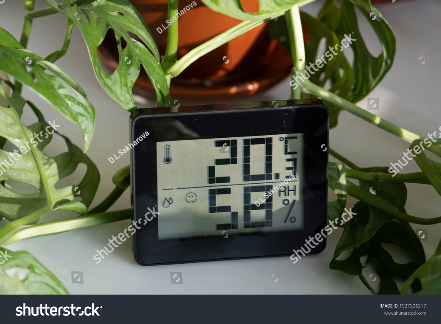 Healthy home. Thermometer and hygrometer. Air humidity measurement. Optimum humidity at home. Thermometer in the interior, among houseplants #1927326317