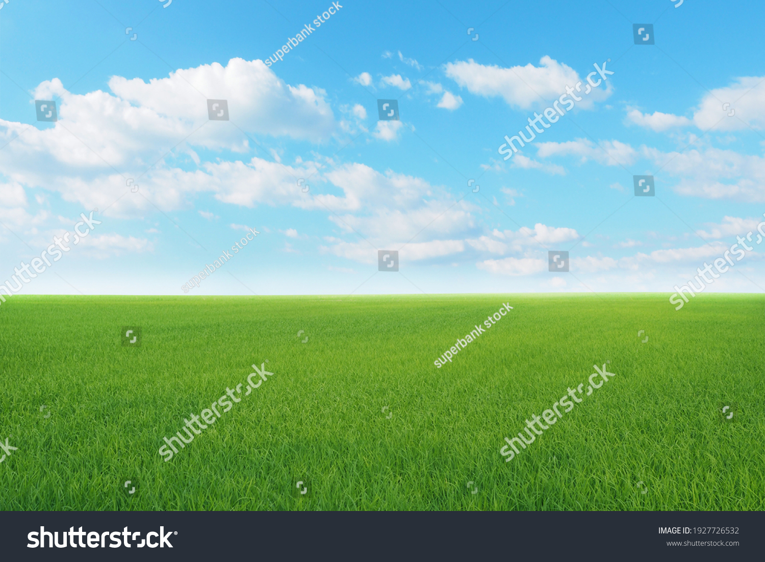 Green meadows with blue sky and clouds background. #1927726532