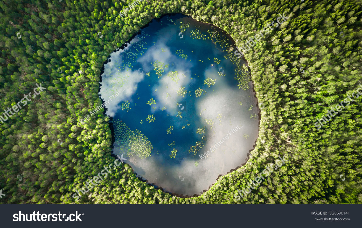 An almost perfect circular lake shot straight down from the air resembles the earth surrounded by a pine forest #1928690141