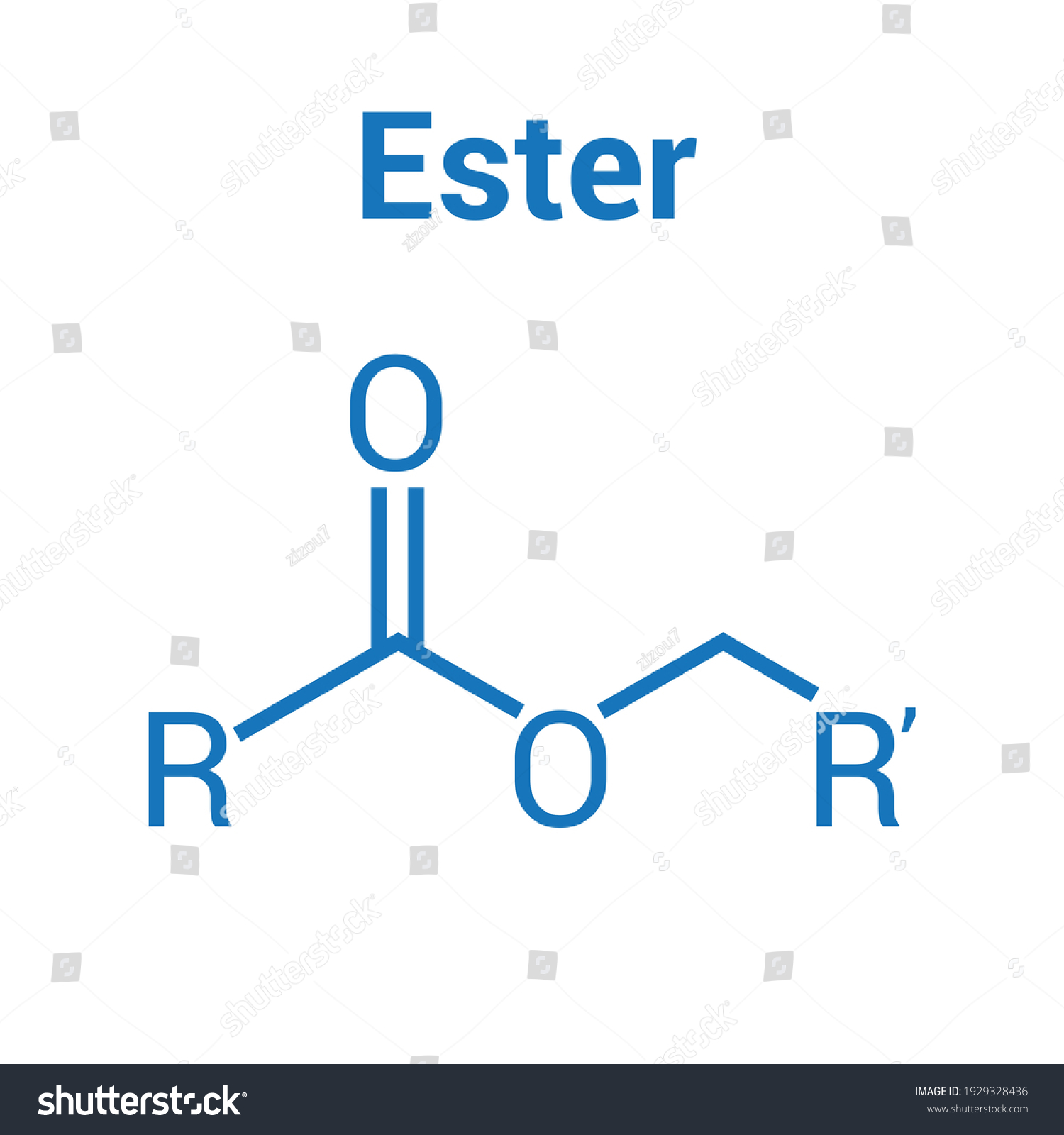 The Structural Formula Of Ester Royalty Free Stock Vector 1929328436 1377