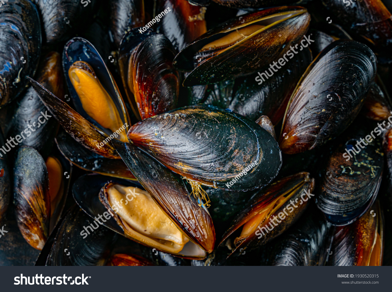Close up shot of cooked blue mussels.  #1930520315