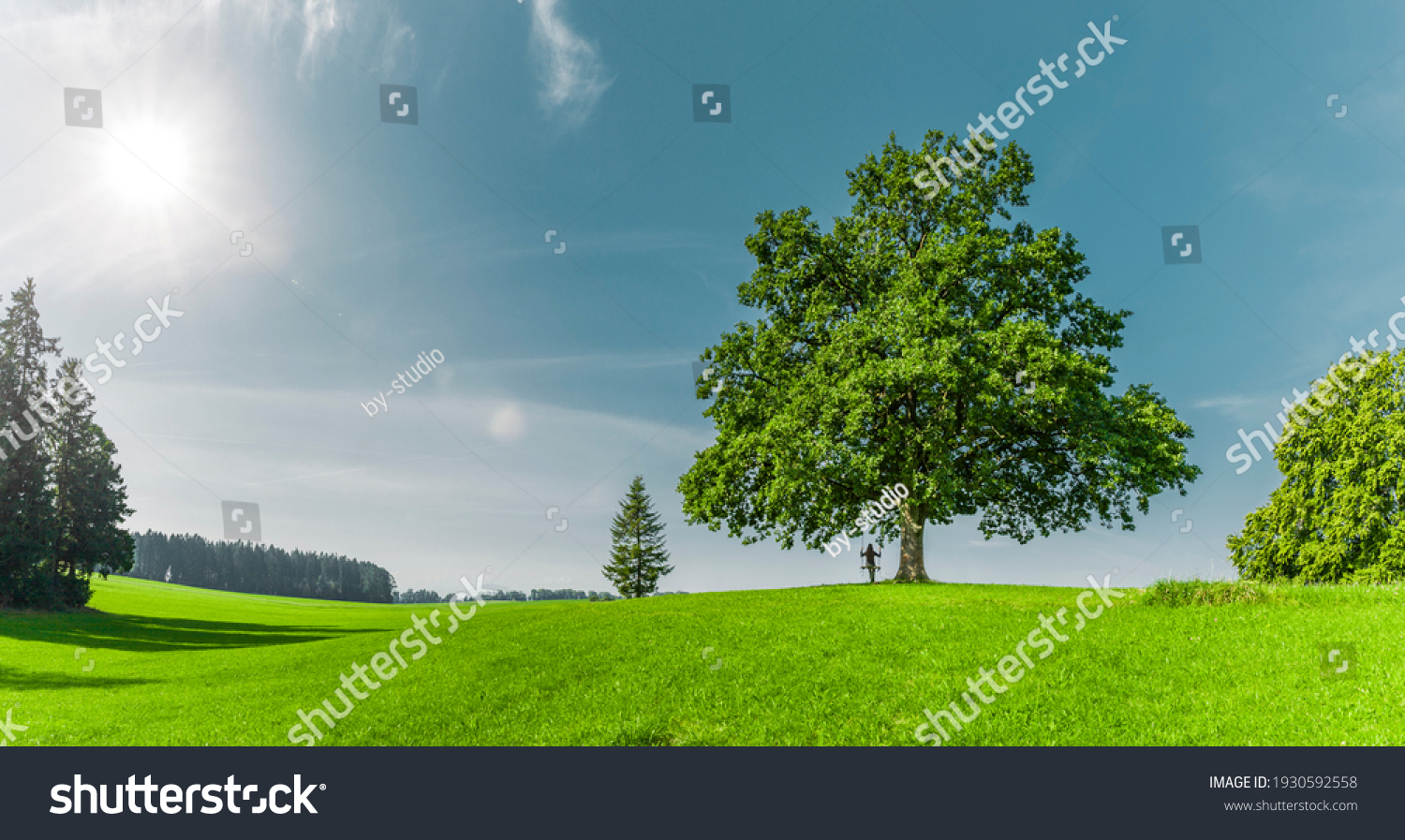 Green tree on on a green meadow #1930592558