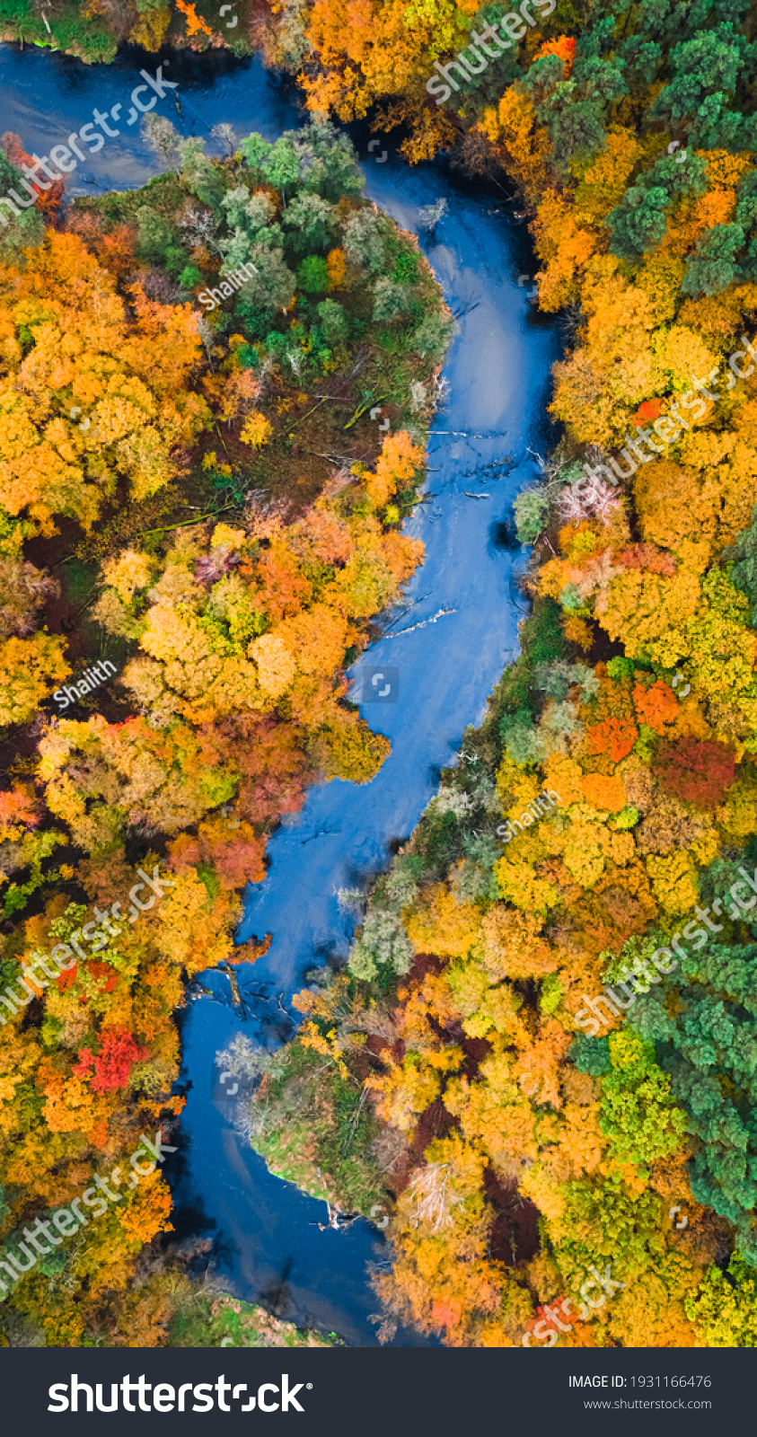 Aerial view of nature in Poland. River and colorful autumn forest. Vibrant color #1931166476