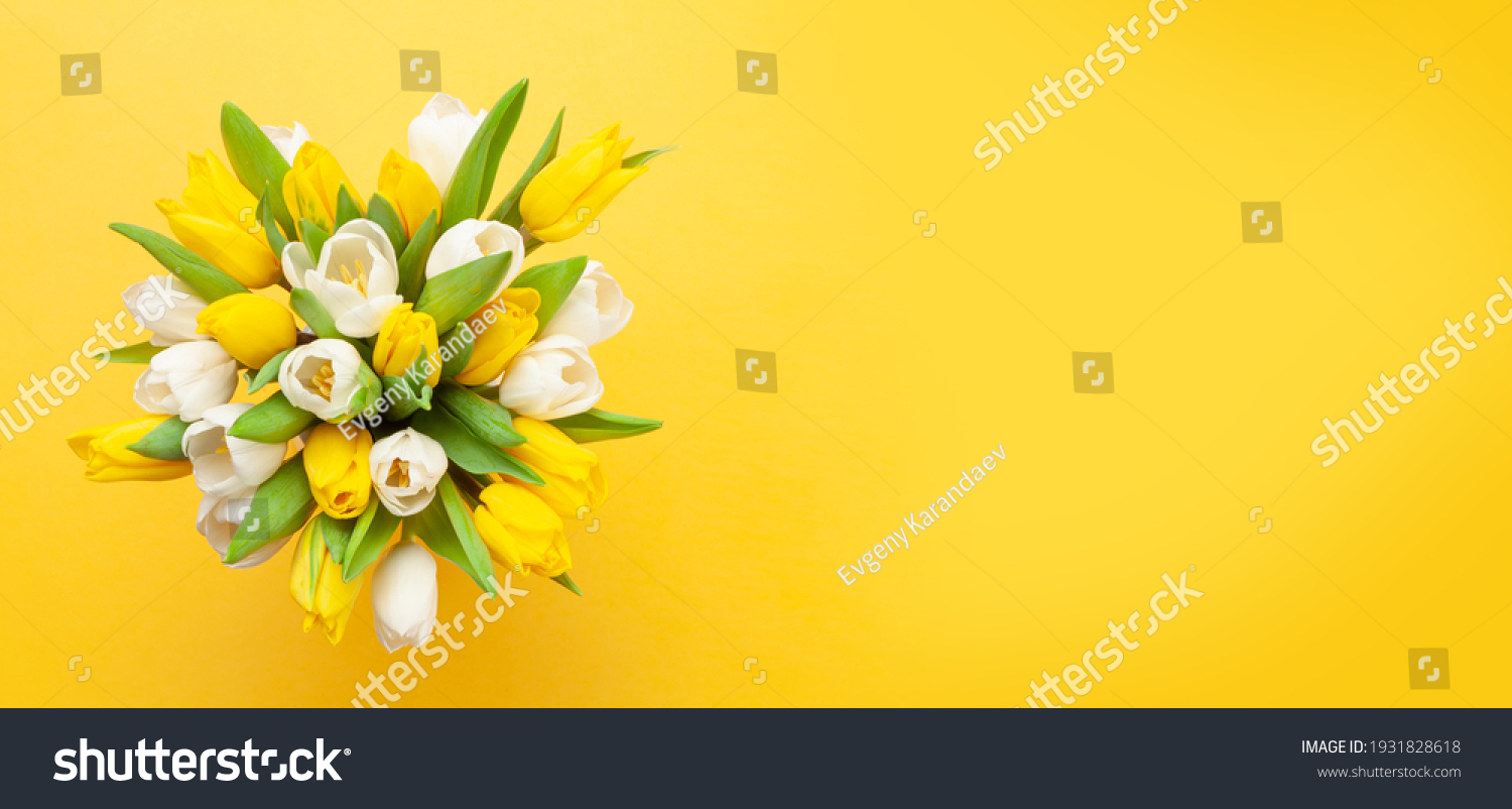 Yellow and white tulip flowers bouquet in front of yellow background. Top view flat lay. With copy space #1931828618