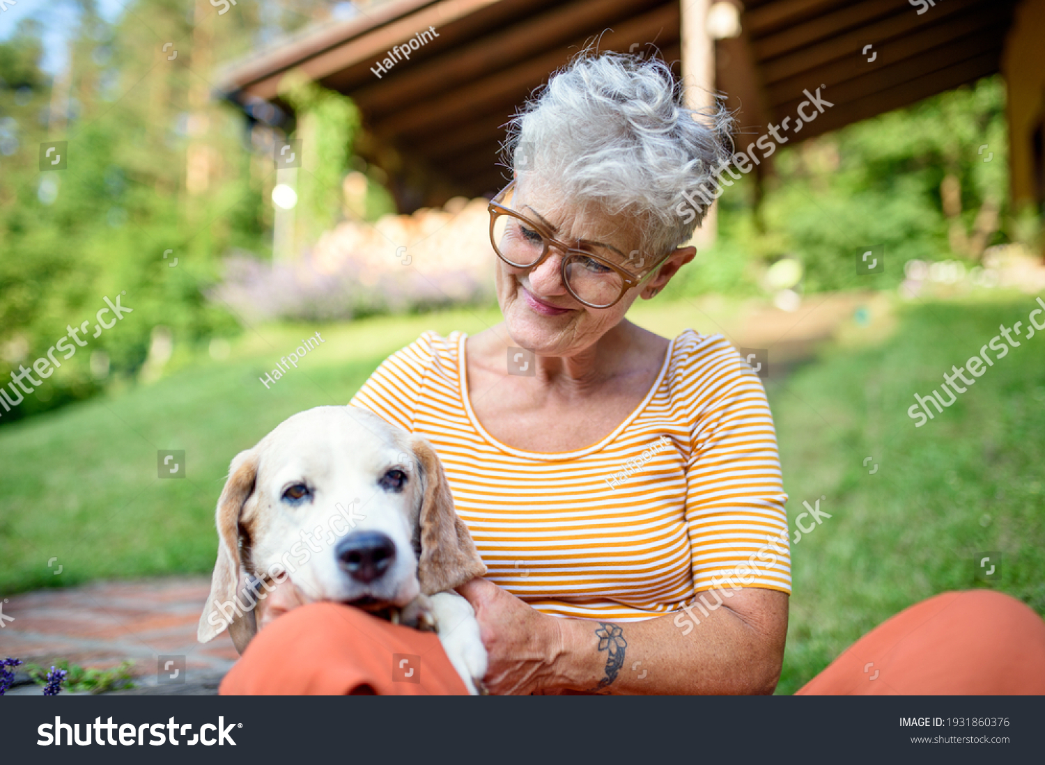 Portrait of senior woman sitting outdoors in garden, pet dog friendship. #1931860376