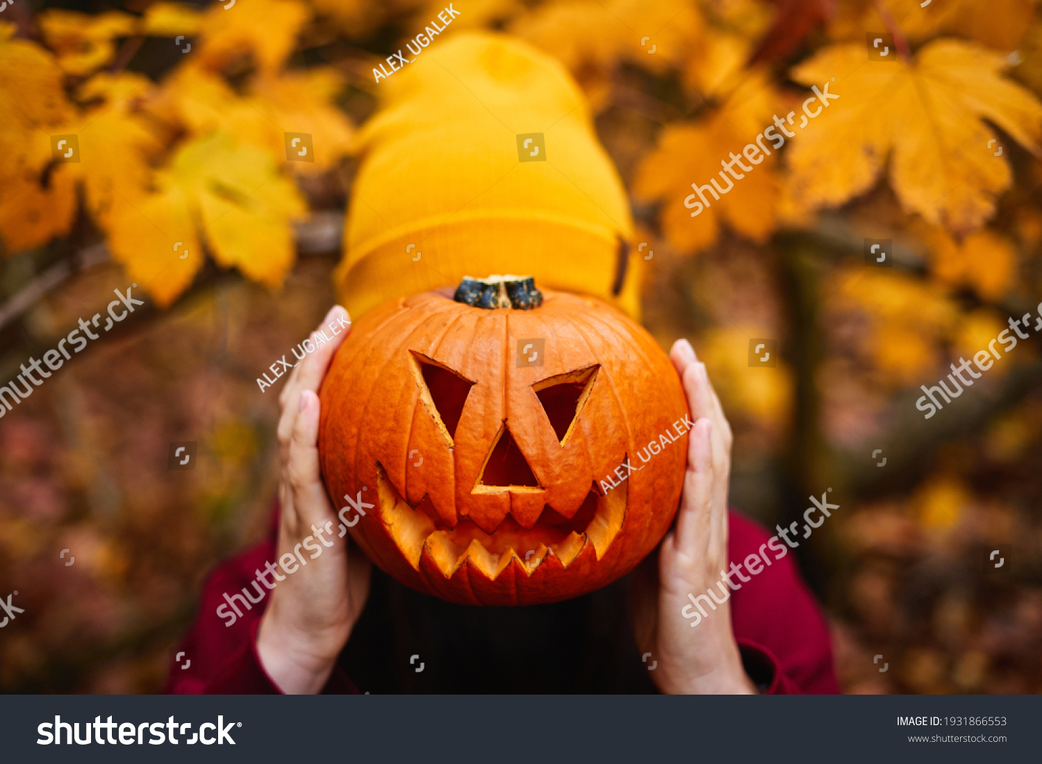  Girl holding jack-o-lantern in front of face. Carved halloween spooky pumpkin. Gold autumn colors. #1931866553