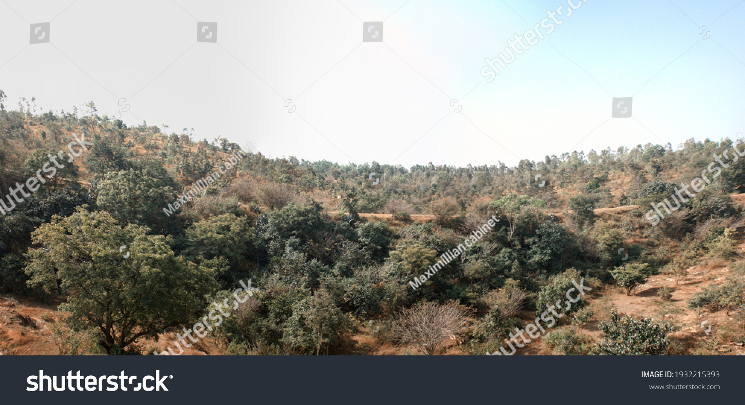 Dry hills and scrub (evergreen sclerophyllous bush formation) in the area of the Deccan plateau, India #1932215393