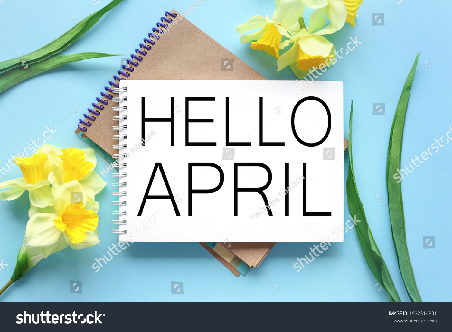 Hello April . text on white notepad paper on blue background. near notepad with yellow flowers and green leaves #1932314801