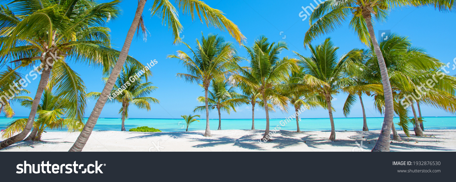 Panorama of idyllic tropical beach with palm trees, white sand and turquoise blue water #1932876530