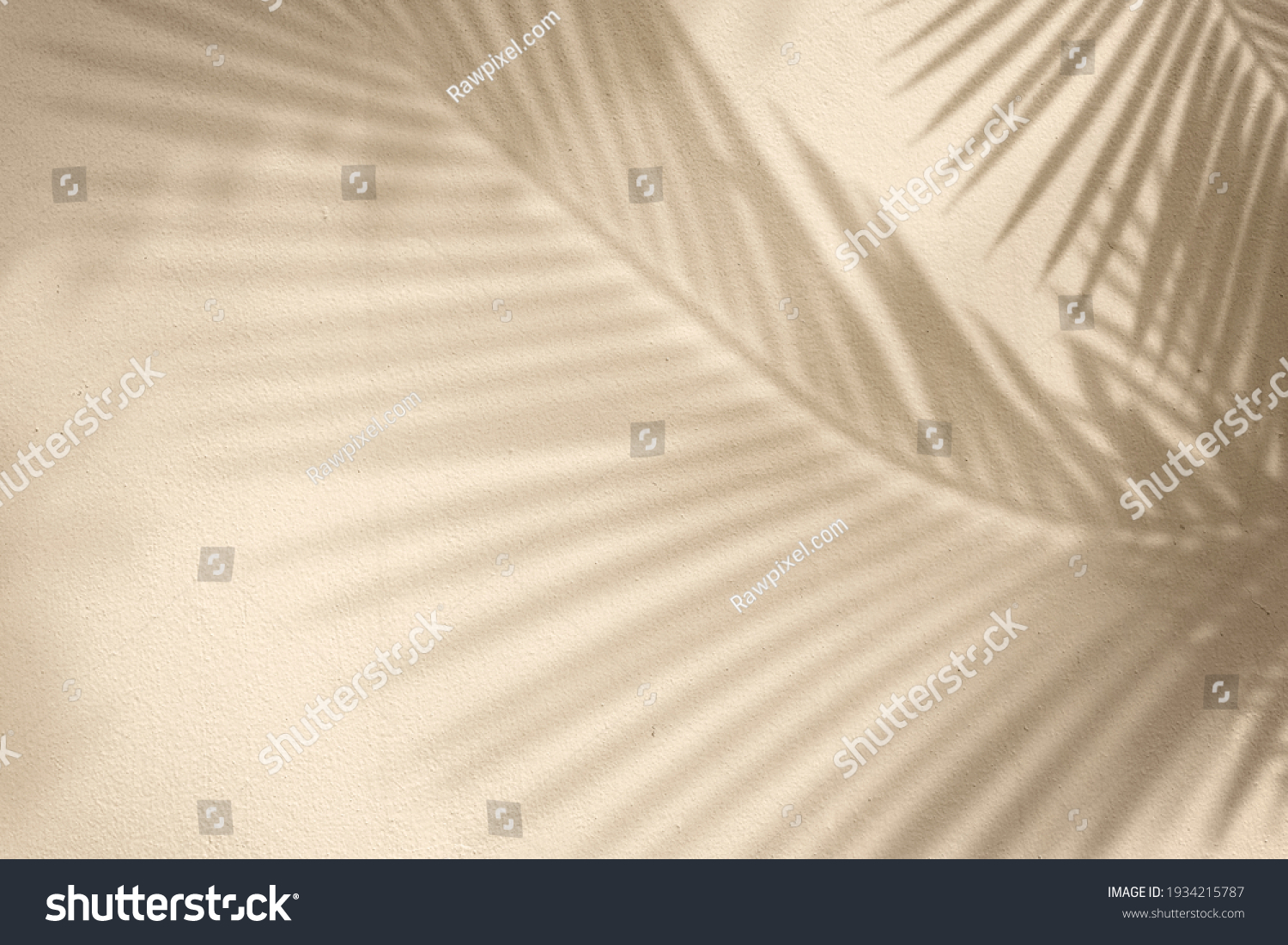 Golden background with palm tree #1934215787