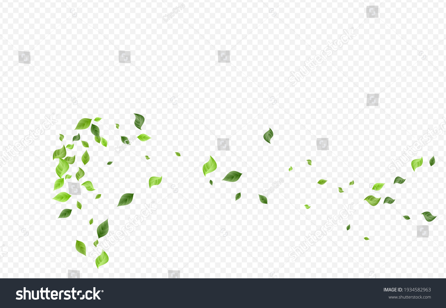 Grassy Leaf Herbal Vector Transparent Background Concept. Fresh Greenery Wallpaper. Forest Leaves Tree Border. Foliage Abstract Banner. #1934582963