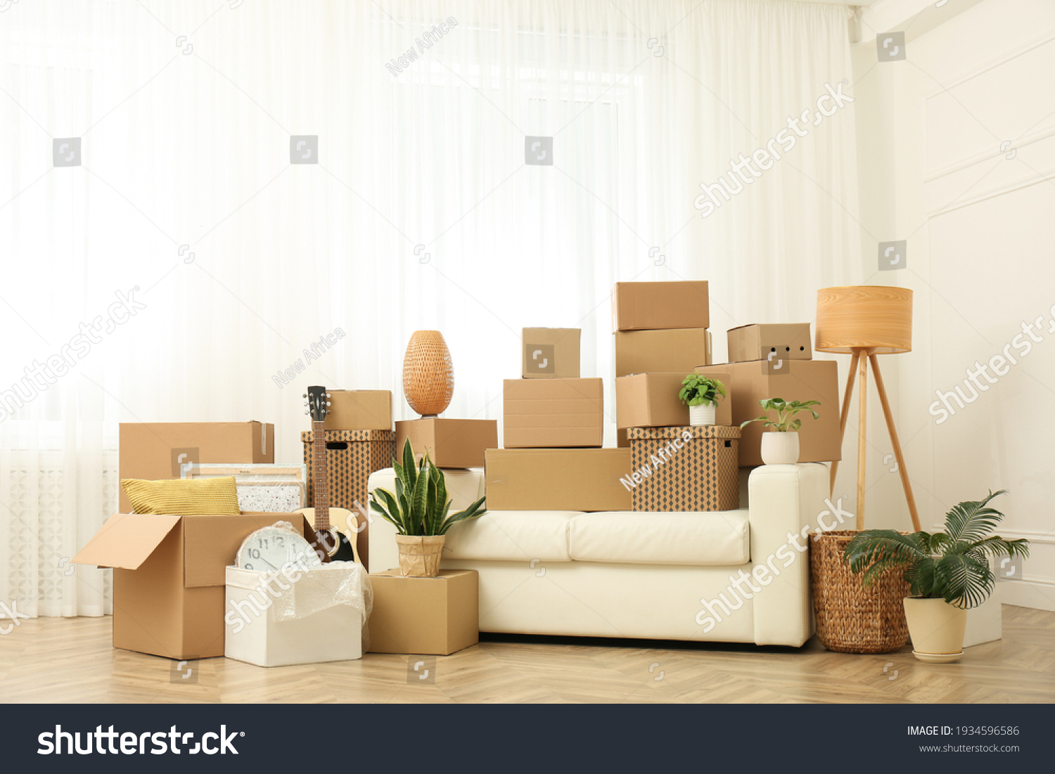 Cardboard boxes, potted plants and household stuff indoors. Moving day #1934596586