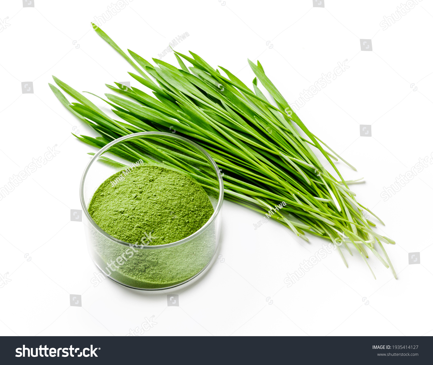 Detox Food Superfood Green Barley Sprout grass and a Glass Bowl of Powder, Flat Lay. Space for Text isolated on whit.
 #1935414127