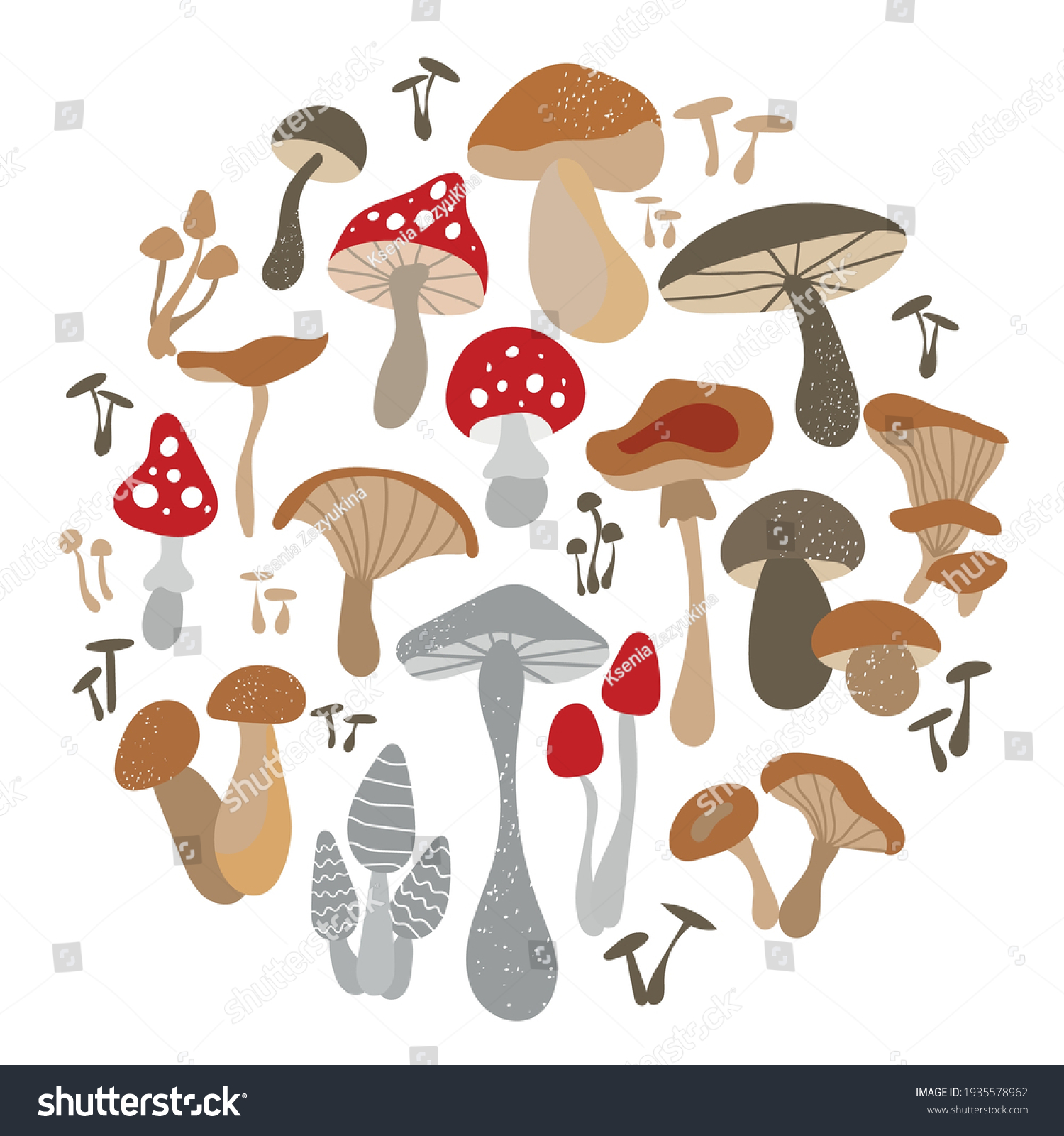 Mushroom set of vector illustrations isolated on white. White mushroom, chanterelles, honey agarics, mushrooms, fly agarics, morels. A set of ingredients for the witch's potion. Cartoon style. #1935578962