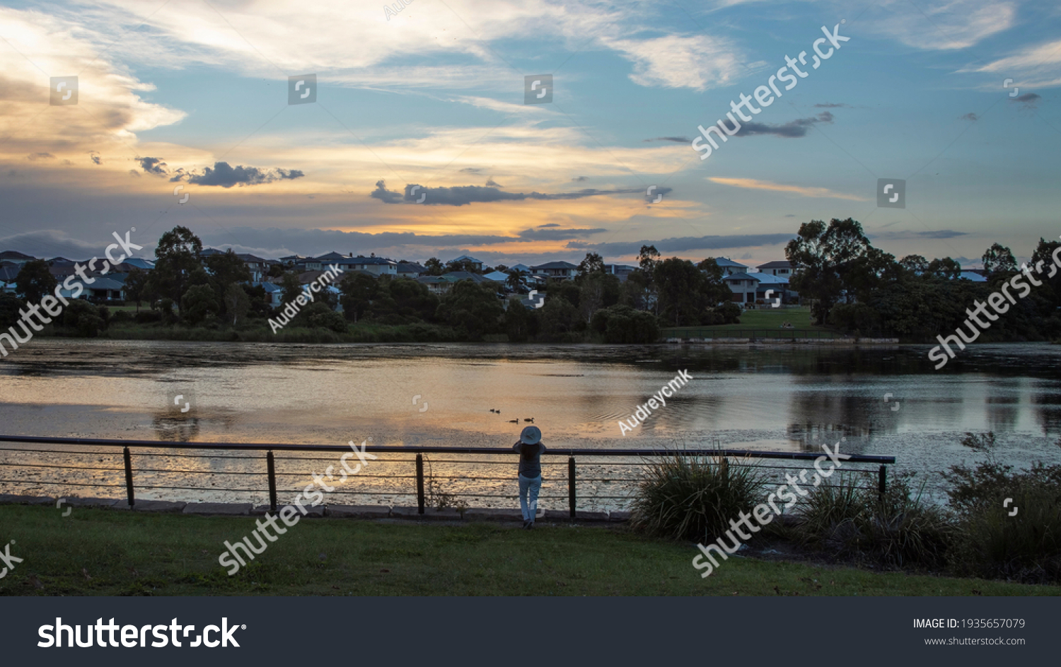 Woman looking at Ducks on a Suburban Man Made Lake at Dusk. Silhouette of trees and a Dramatic Sky in the background. #1935657079