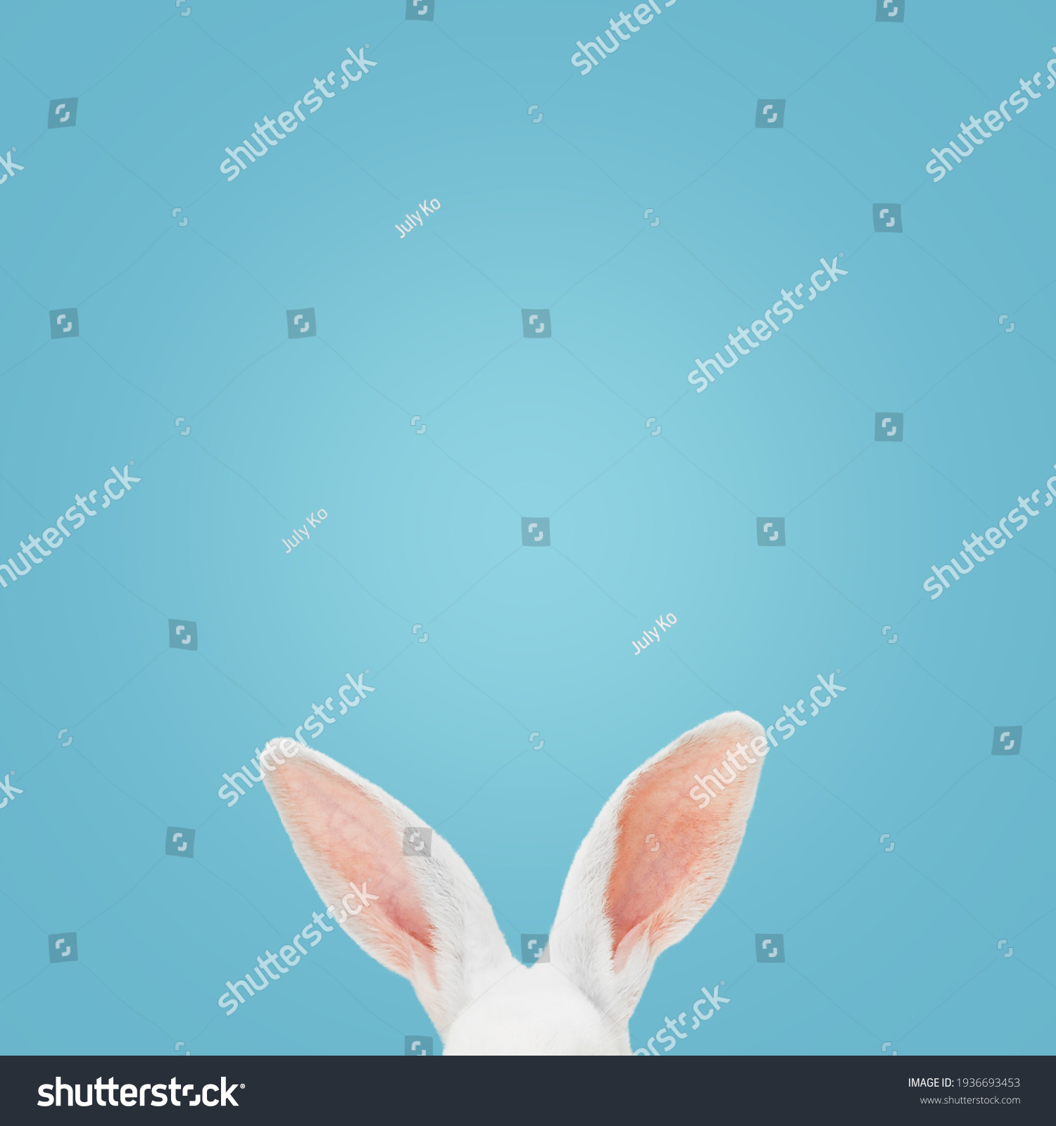 White rabbit ears on a light blue background with copy space. Easter minimalism. #1936693453