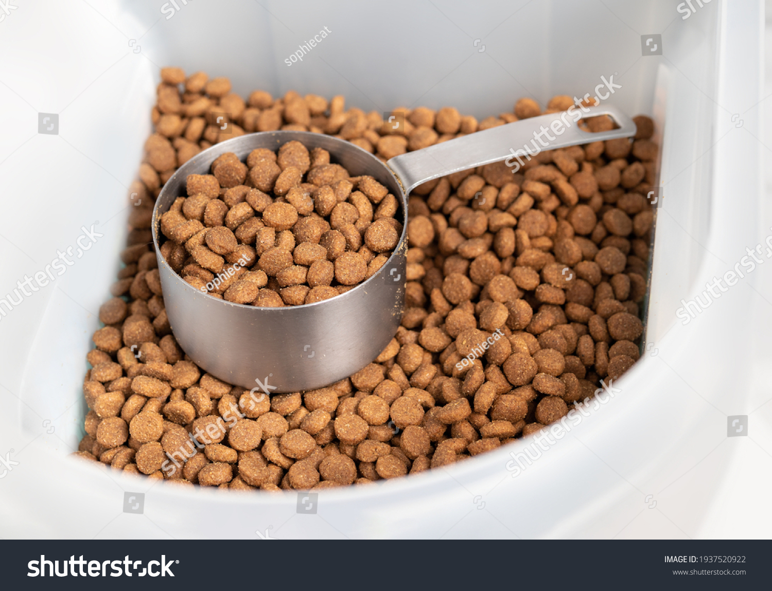 Kibbles with measuring cup inside larger food storage bucket. 1 cup dry pet or dog food portioned out for a medium to large dogs feeding time. Isolated on white. Selective focus. #1937520922