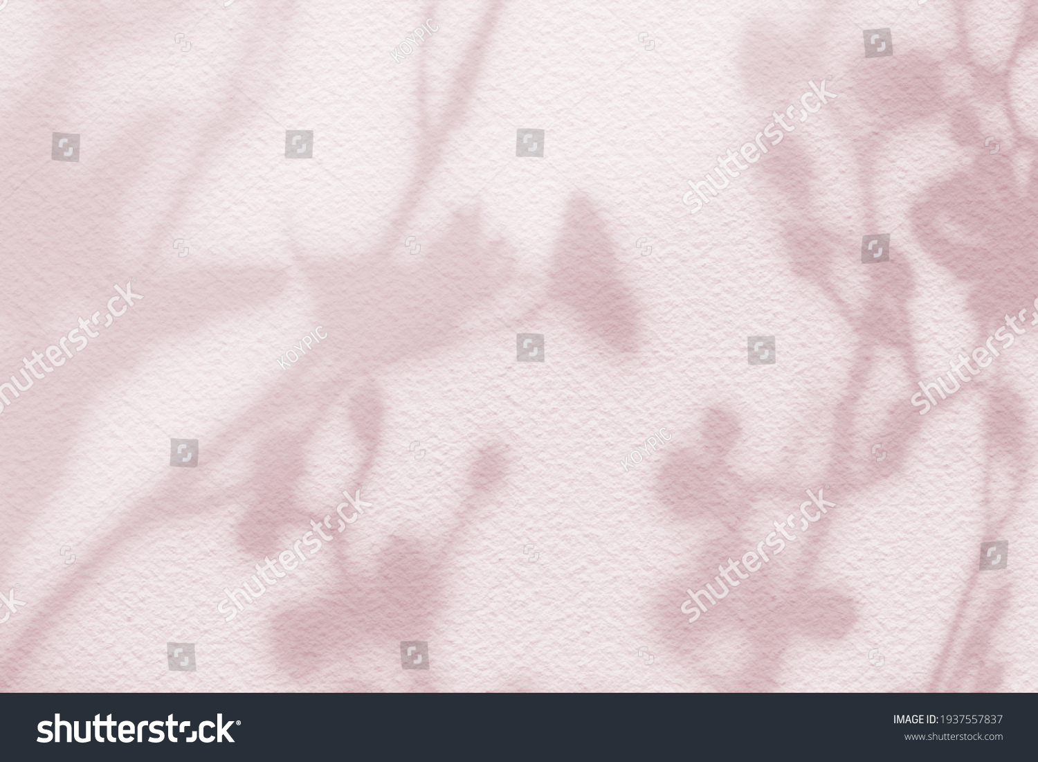 Natural flower shadows are blurred on light pink rose pastel color wall at home at sunrise. Cosmetic organic with minimal concept. #1937557837