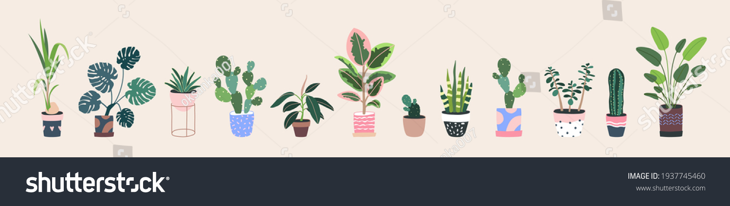 Home plants in flowerpot. Houseplants isolated. Trendy hugge style, urban jungle decor. Hand drawn. Set collection. Green, blue, pink, brown, beige pastel colors. Print, poster, banner. Logo, label. #1937745460